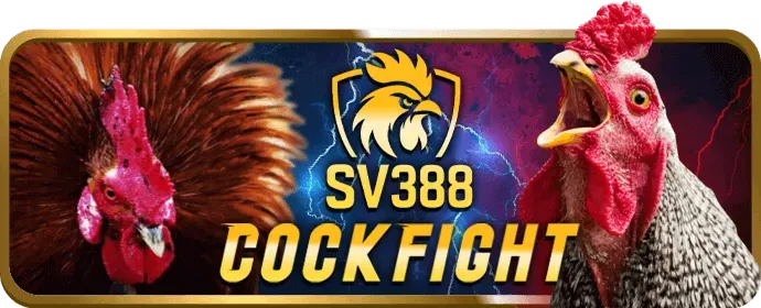 Hỗ trợ khách hàng fun97 casino