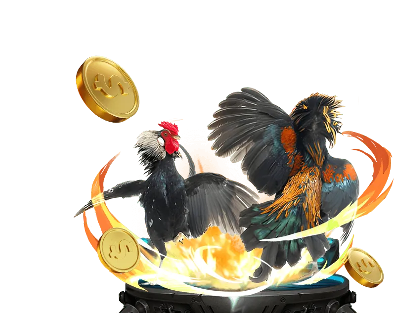 Tổng quan nền tảng fun97 casino